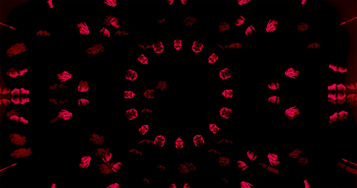 A CONEY FILM NOIR - video by Harriet Feigenbaum