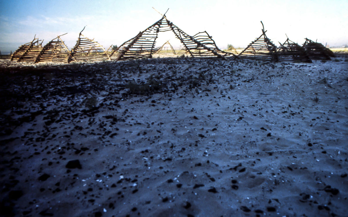 Battery Park City a Mirage - environment commission by Harriet Feigenbaum