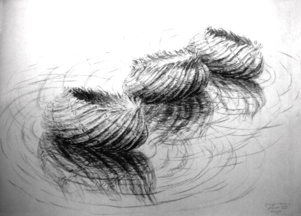 Boats - drawing by Harriet Feigenbaum