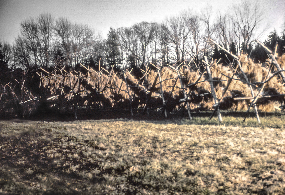 Cycles - environment commission by Harriet Feigenbaum