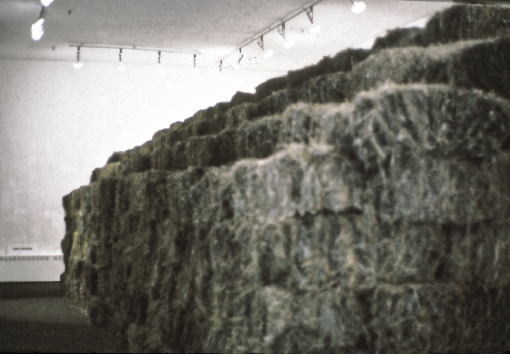 Equinox, An Allegory of Time - installation by Harriet Feigenbaum