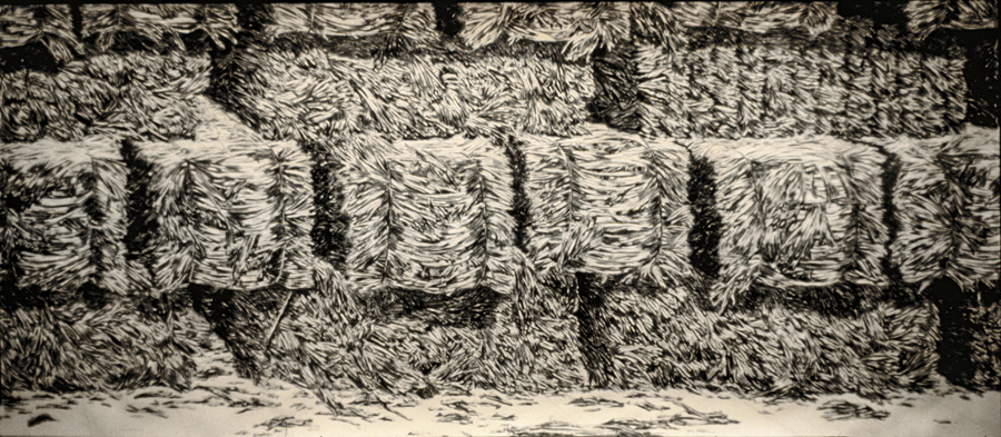 Hay - drawing by Harriet Feigenbaum