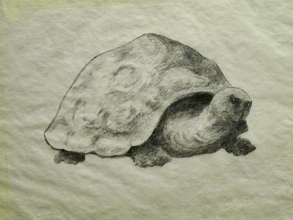 Miscellaneous - drawing by Harriet Feigenbaum