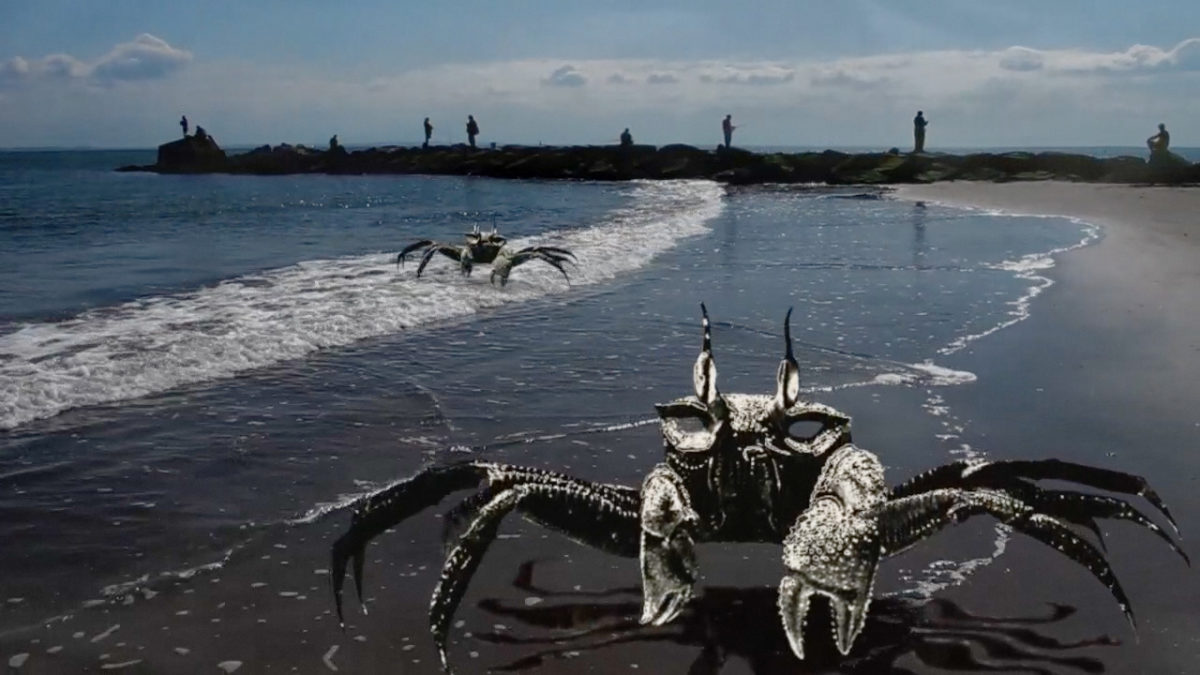 PASSAGE TO CONEY ISLAND - video by Harriet Feigenbaum