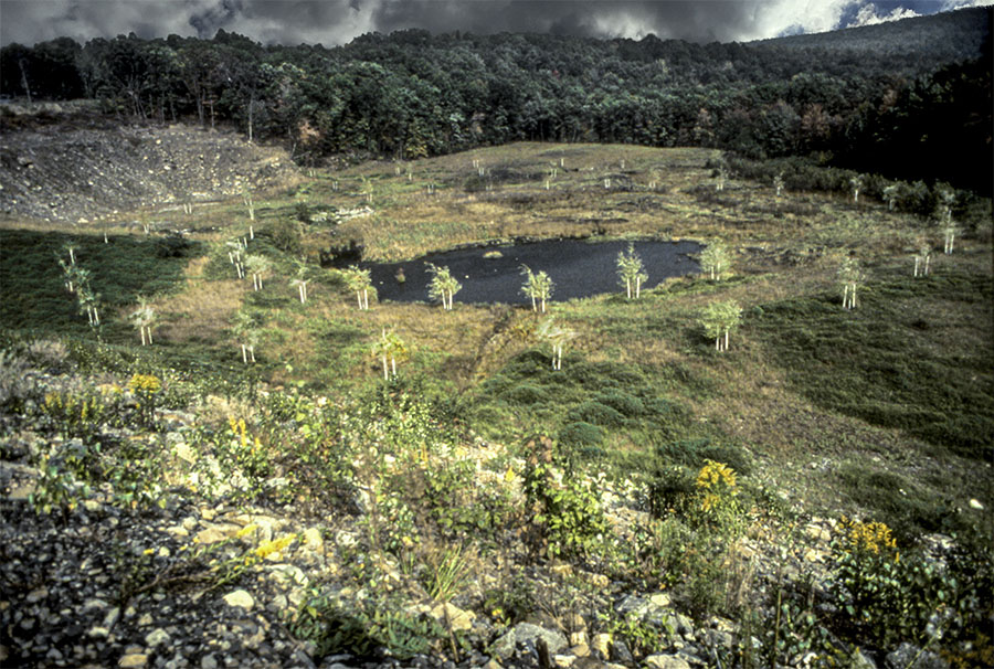 Reclamation Projects - environment commission by Harriet Feigenbaum