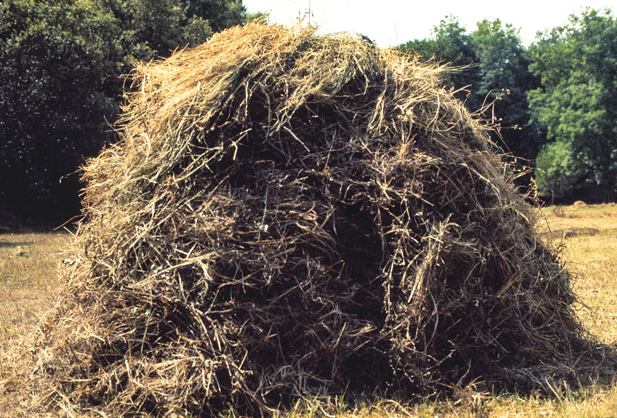 The Haying Process - environment commission by Harriet Feigenbaum