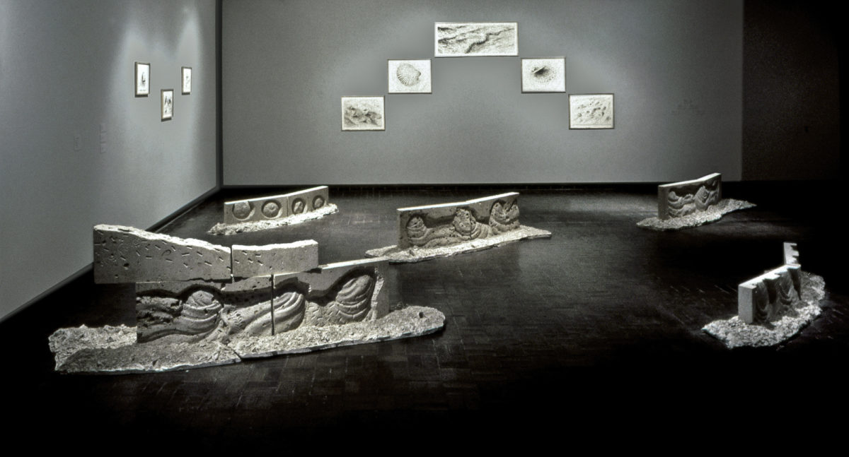 This is Not a Ruin - installation by Harriet Feigenbaum