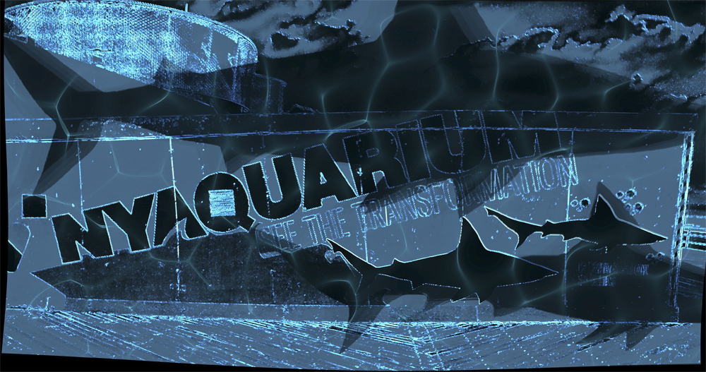 ZONE 1 CONEY ISLAND - video by Harriet Feigenbaum